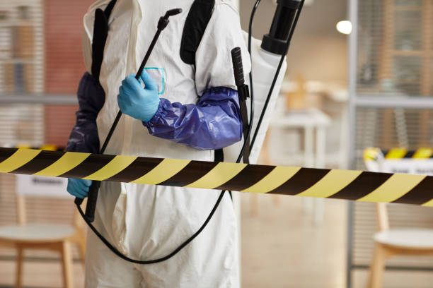 Professional Sewage Cleanup technician working in Roy, UT